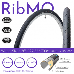 RiBMo RiBMo