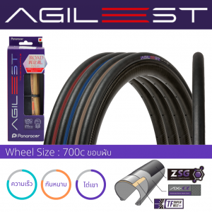 Agilest Agilest