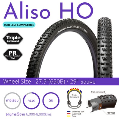 Aliso HO